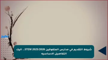 شروط التقديم في مدارس المتفوقين STEM 2025/2026.. إليك التفاصيل الأساسية